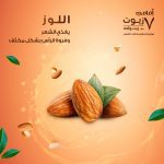 زيت الخروع من مجموعة زيوت ايمامي - الصورة 4